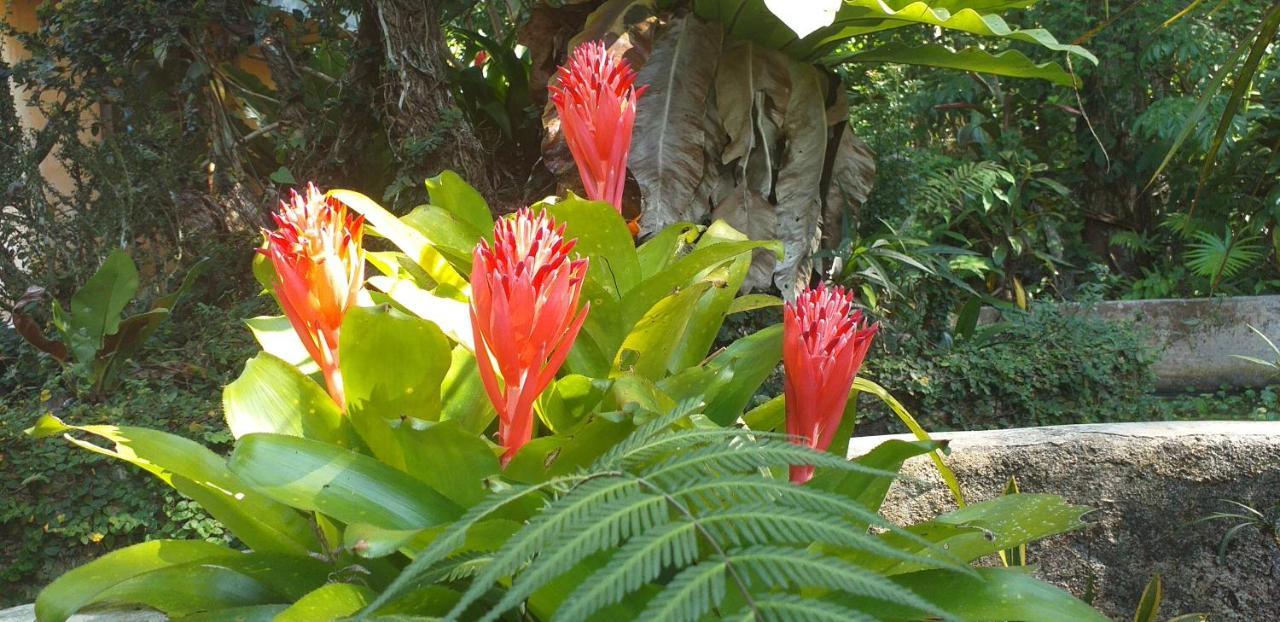 Forest Garden Residence Bilar Esterno foto