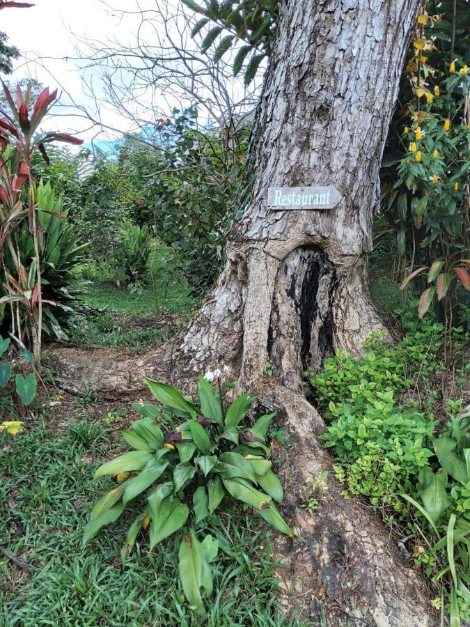 Forest Garden Residence Bilar Esterno foto